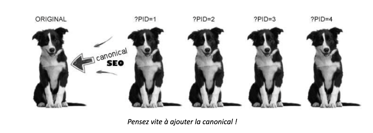 Illustration du canonique en seo et de bonnes pratiques seo