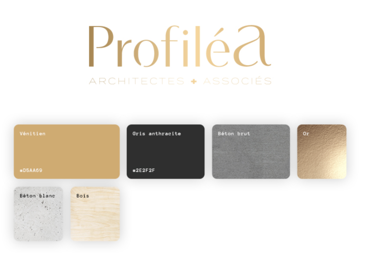 charte graphique profilea