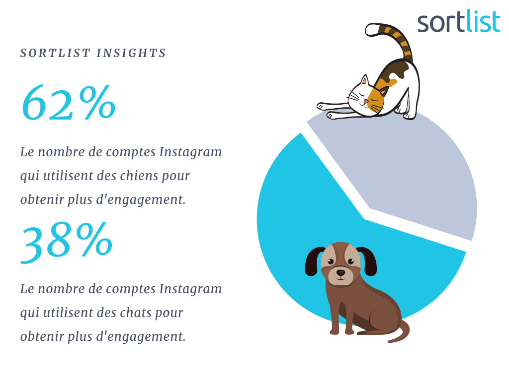 Instagram Chiens Chats