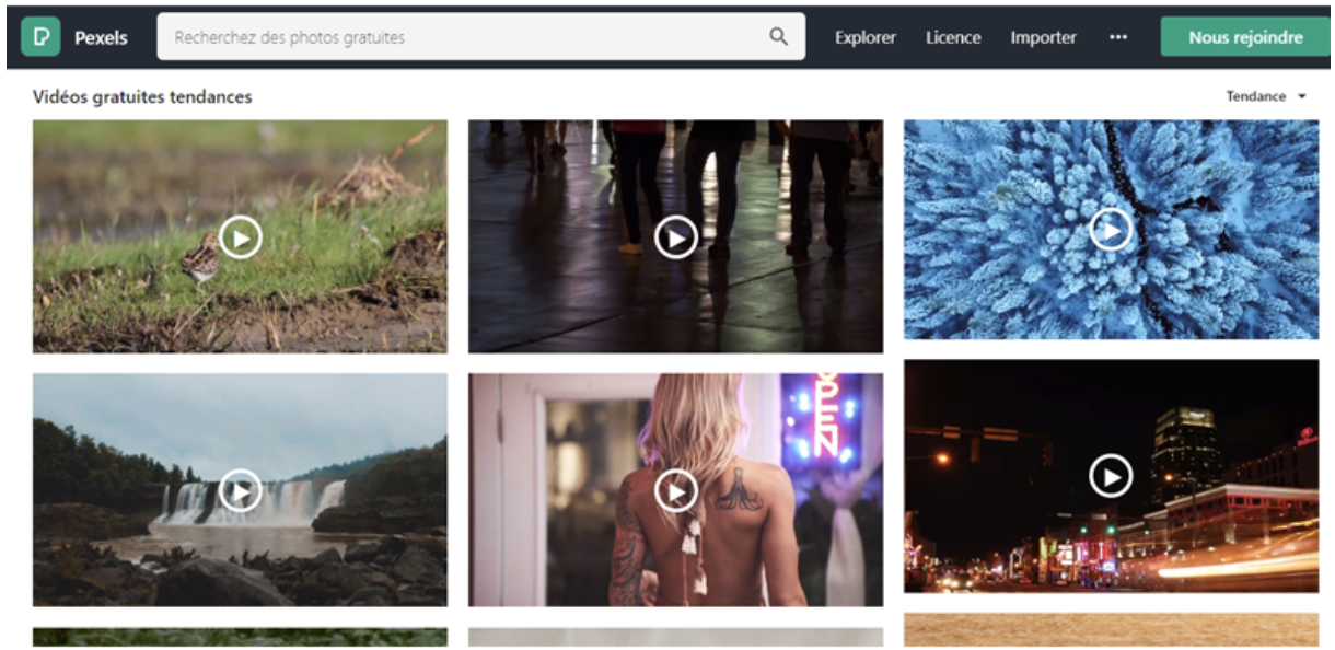 pexels vidéos gratuites