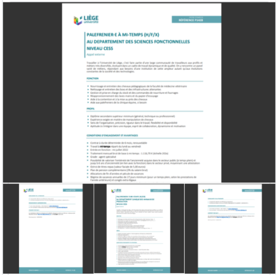 Offre d'emploi PDF ULiège