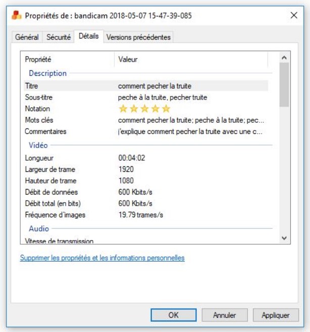 modèle métadonnées Youtube