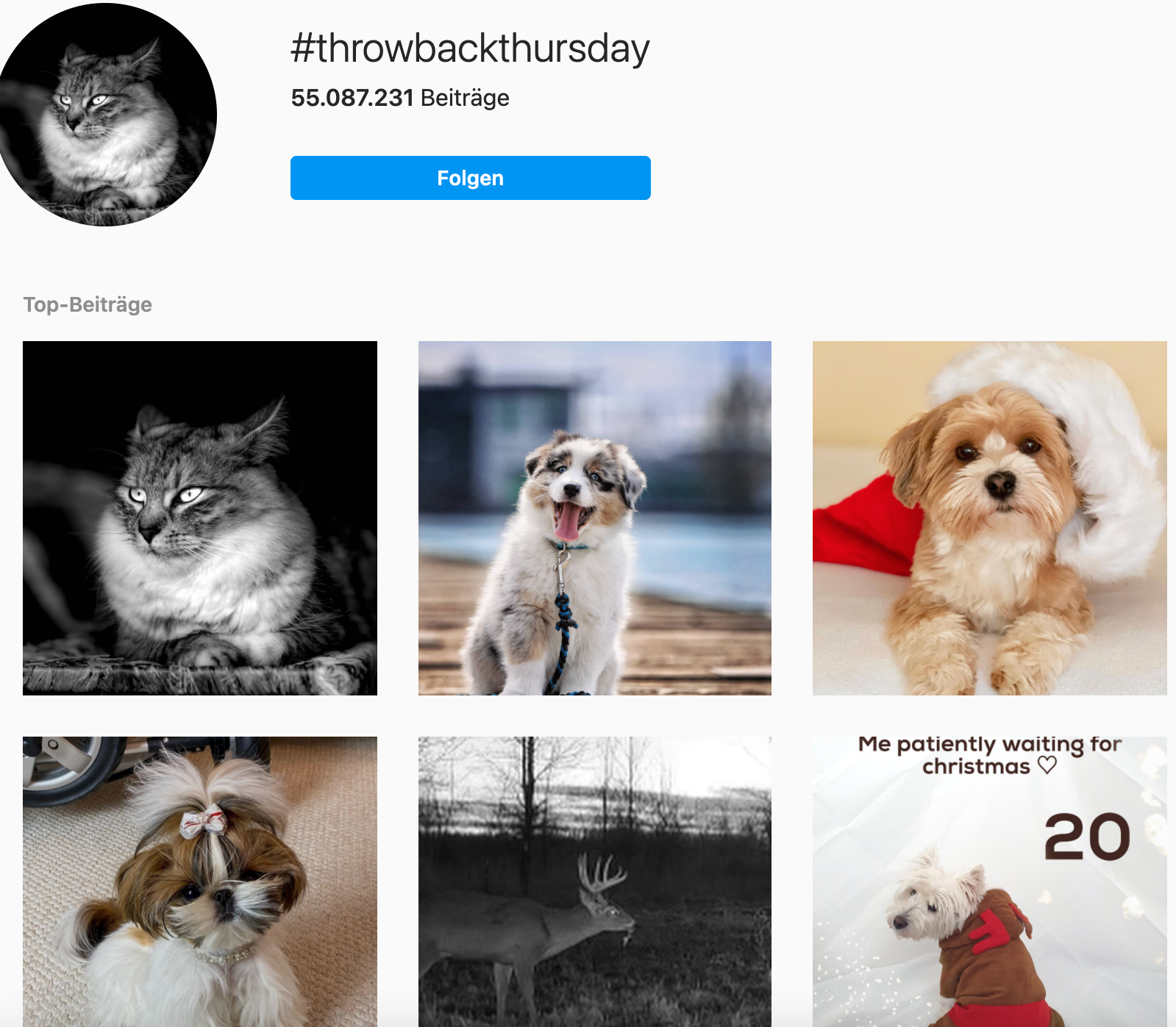 ergebnisse zu #throwbackthursday