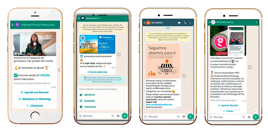 whats app marketing