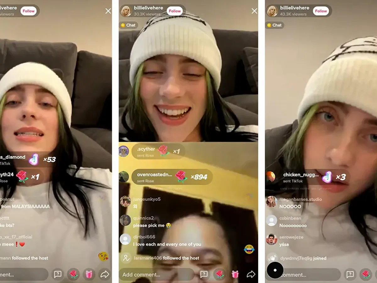 Billie Elish instagram stories