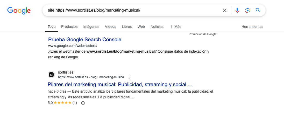 ejemplo de página indexada en Google