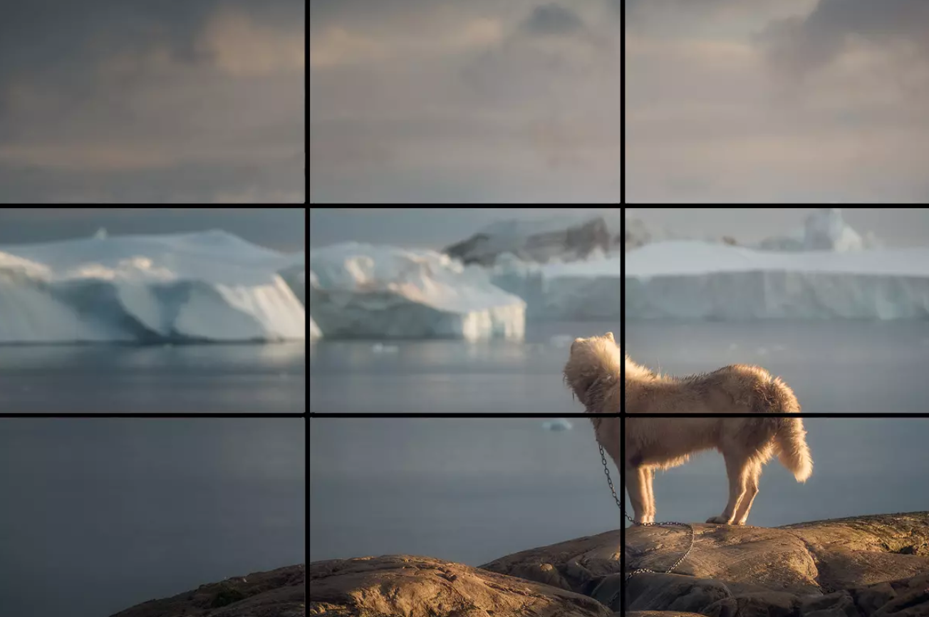 Otro de los factores importantes en el alcance del éxito en redes sociales es la composición de tu fotografía. Una buena composición puede hacer que una foto corriente resulte cautivadora y sea un éxito a nivel de engagement.