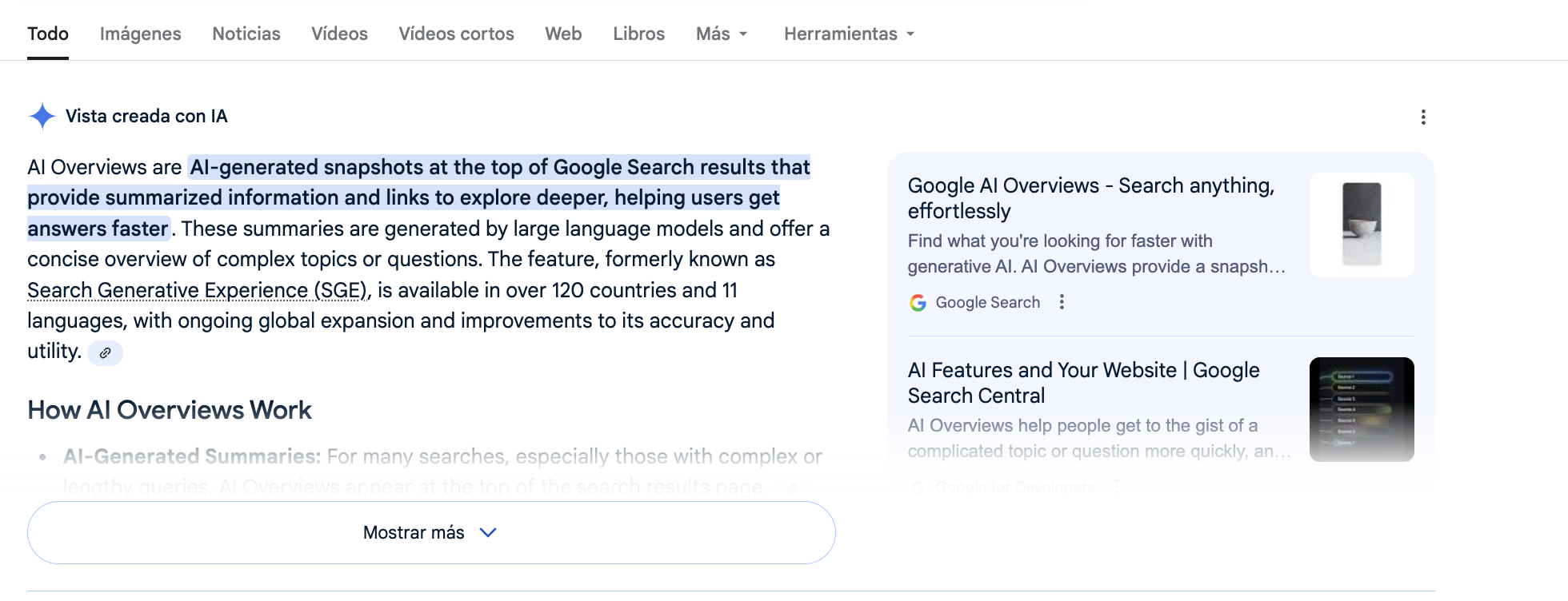 AI overview ejemplo